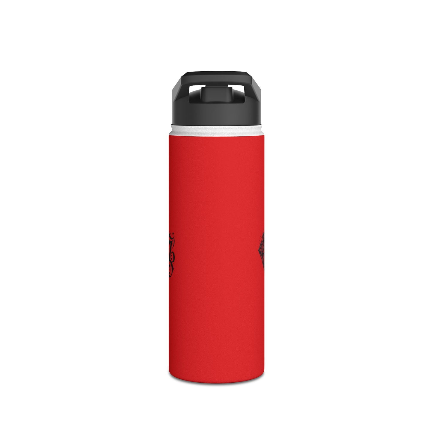 Vibrant Stainless Steel Water Bottle with Standard Lid - Perfect for hydration on the go