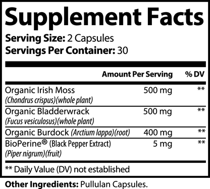 DAZ Premium Fit Sea Moss