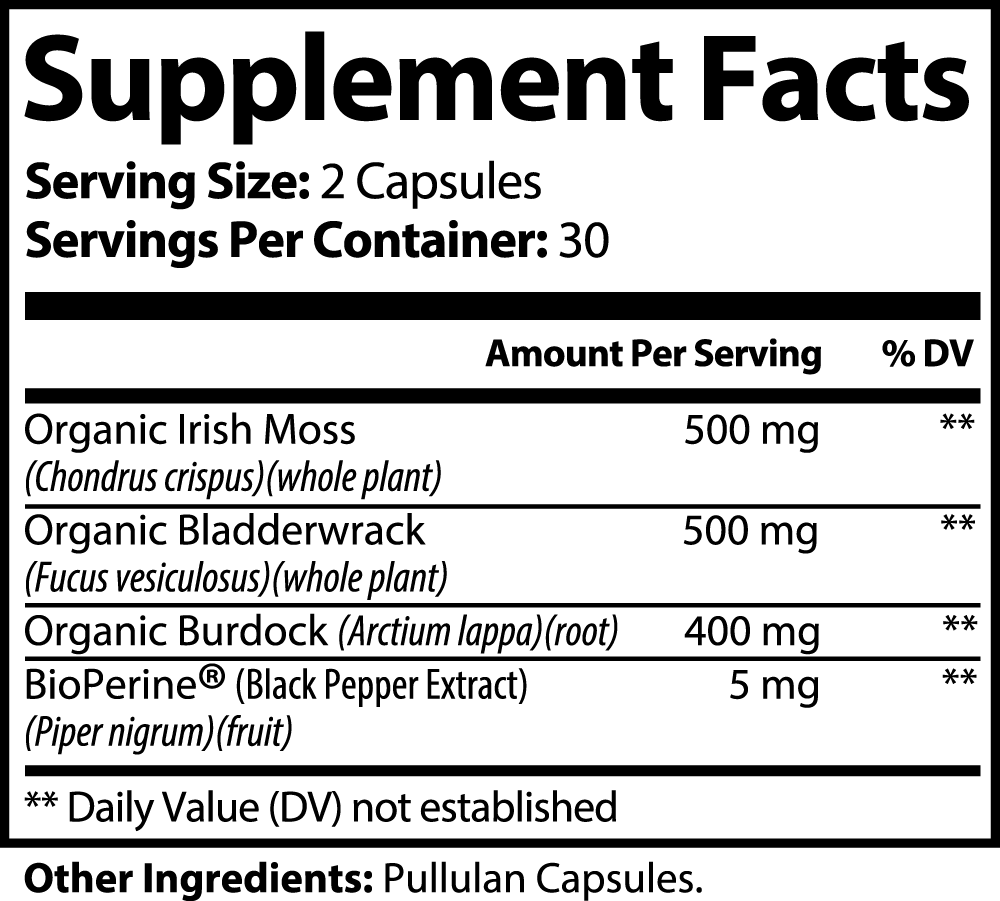 DAZ Premium Fit Sea Moss