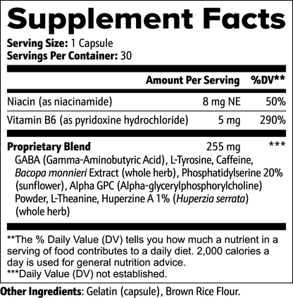 Apoyo Cognitivo DAZ Premium Fit