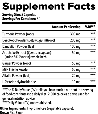 Apoyo al hígado DAZ Premium Fit