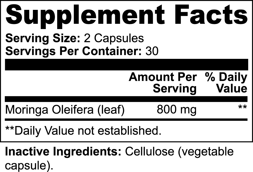 Moringa Pure DAZ Premium Fit